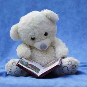 white teddy bear with opened book photo